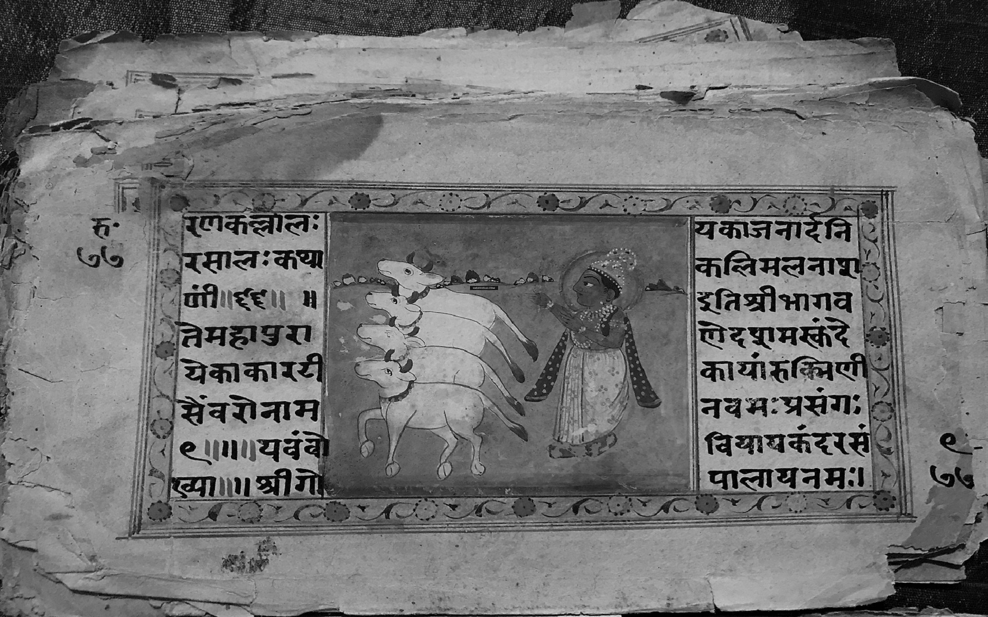 ಕಂಟಕಾಂಜಲಿ: ವಿಡಂಬನೆಯ ಆಡುಂಬೊಲ